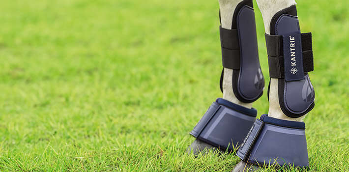 kantrie einstieg beinschutz 710x350